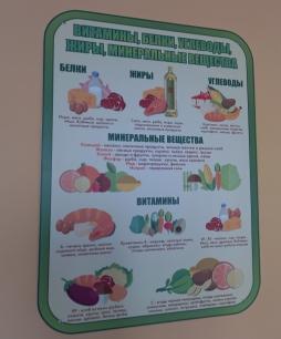 На стендах пищеблока имеется информация о содержании в продуктах витаминов, белков, углеводов, жиров и минеральных веществ ("Витамины, белки, углеводы, жиры, минеральные вещества")